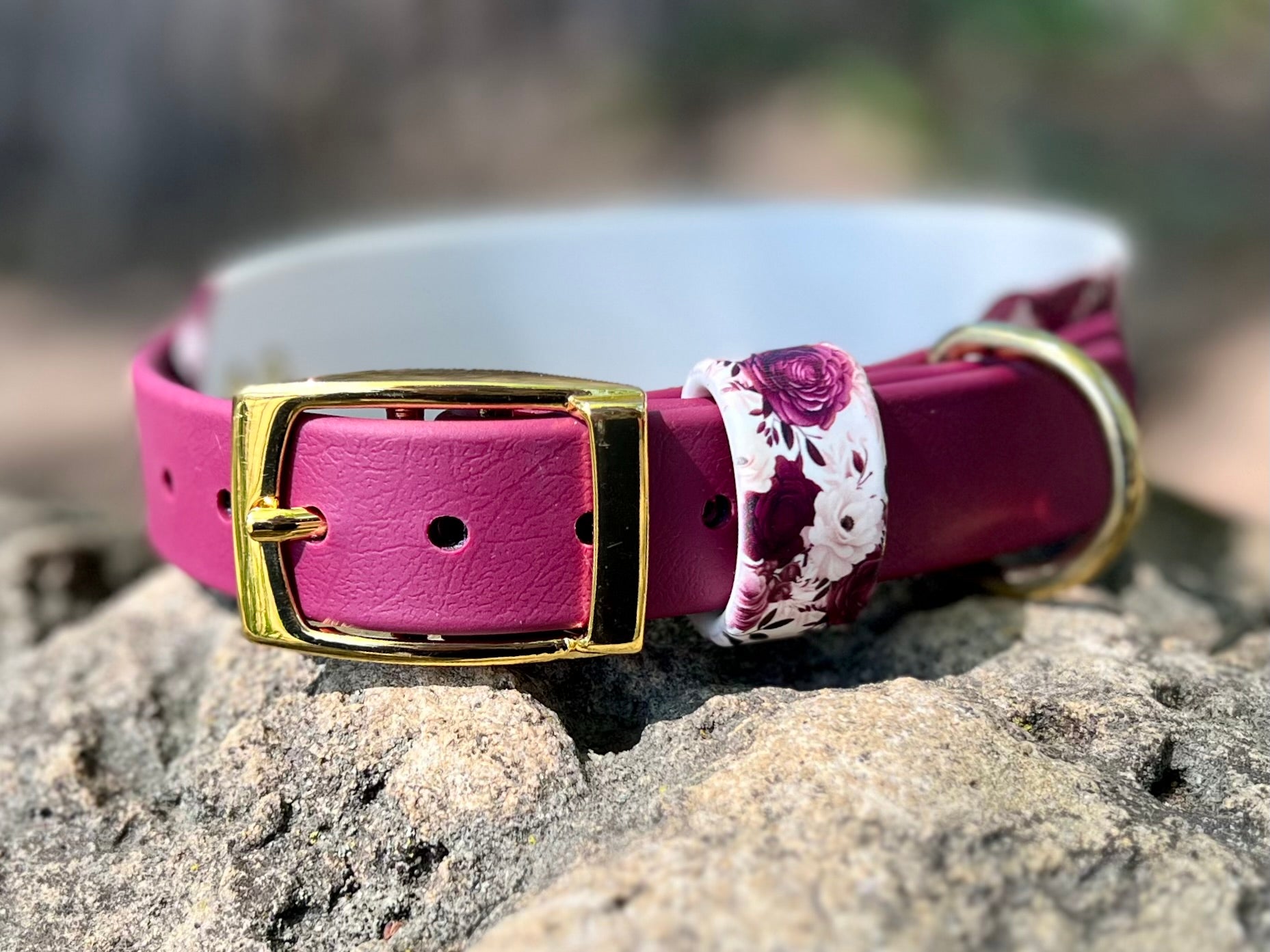 Cabernet Blossom Dog Collar