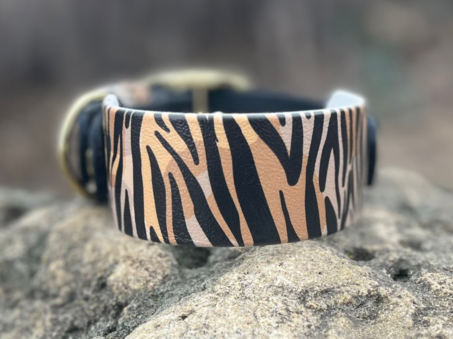 Sahara Stride Dog Collar