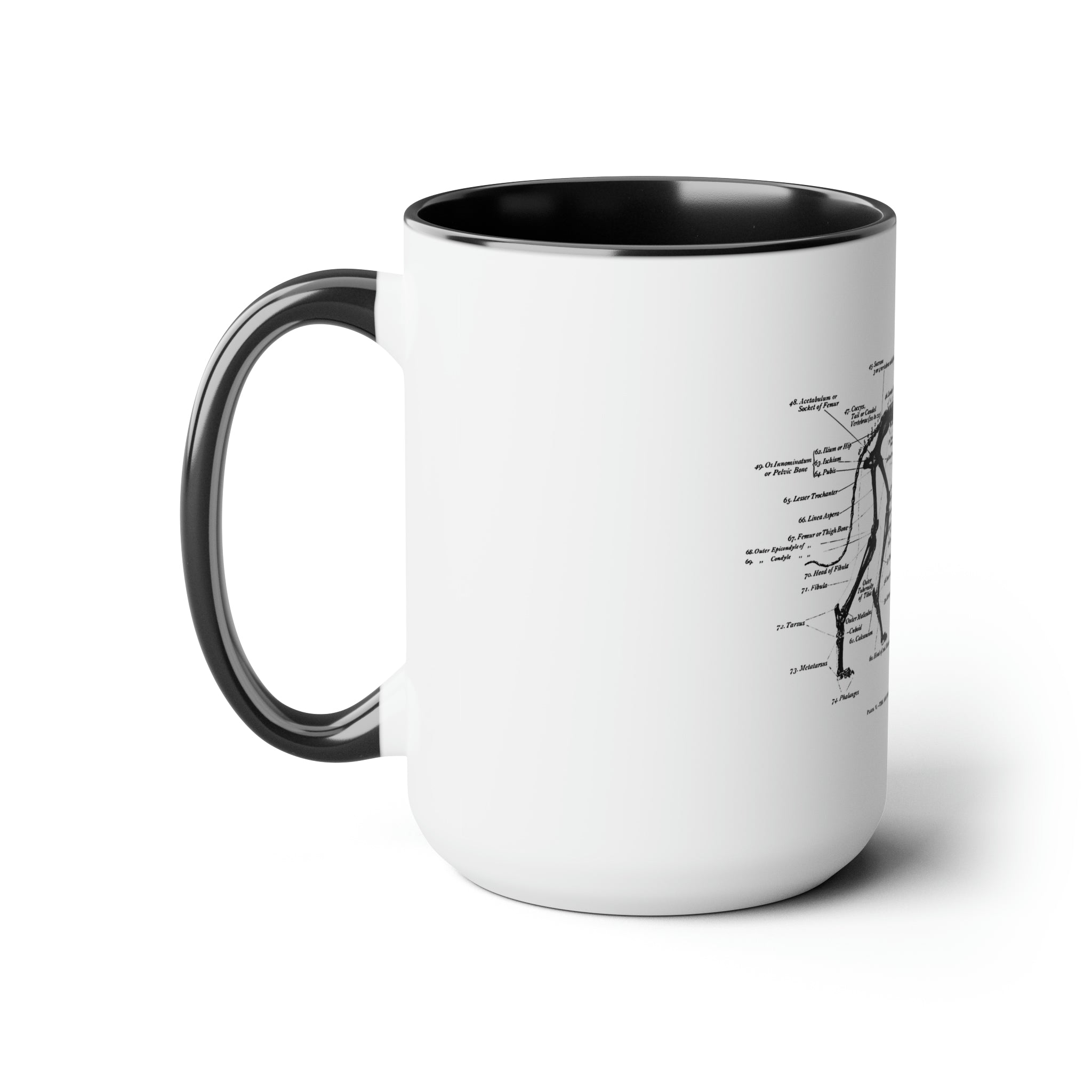 Greyhound Anatomy Coffee Mug, 15oz