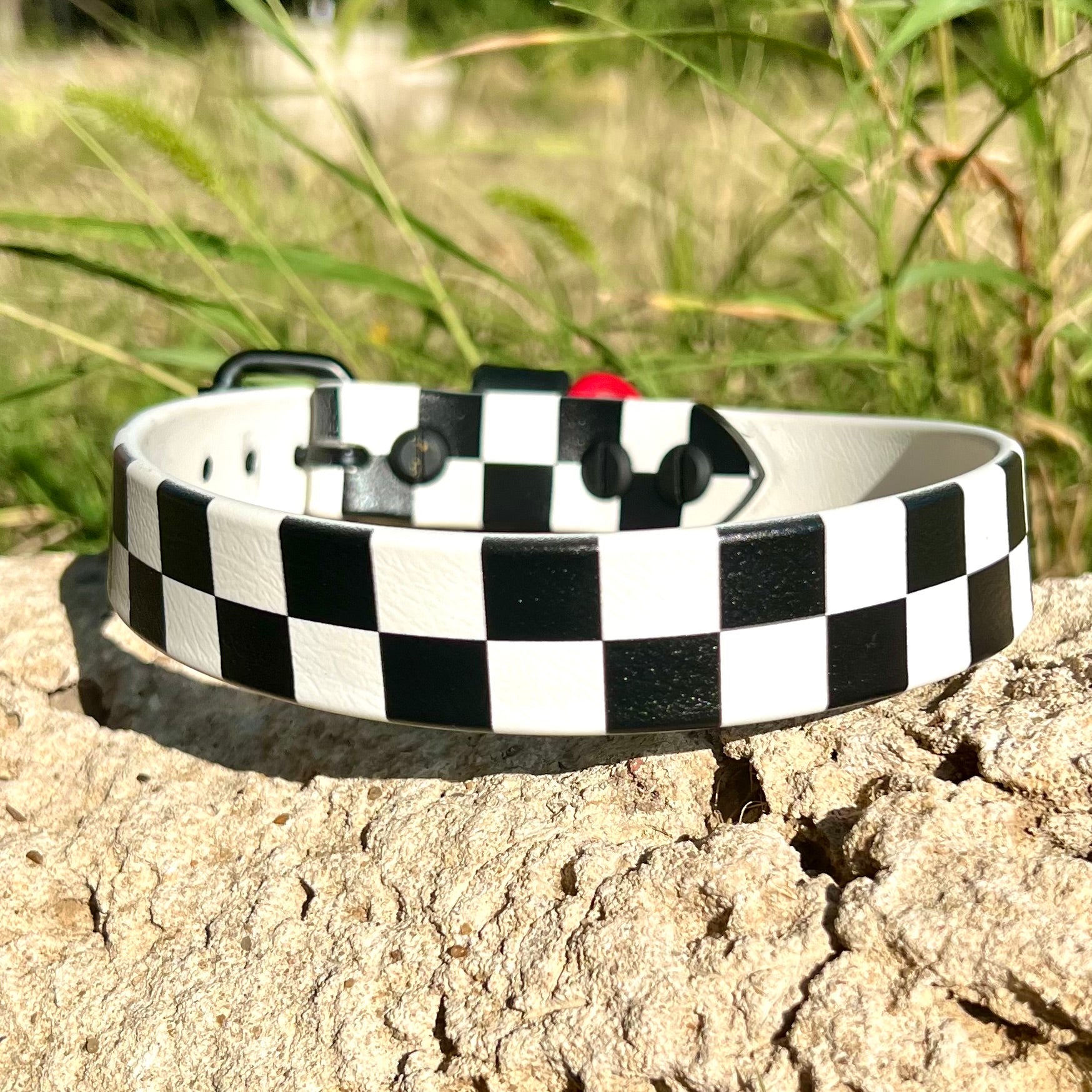 Race Ready Collar- Multiple Sizes