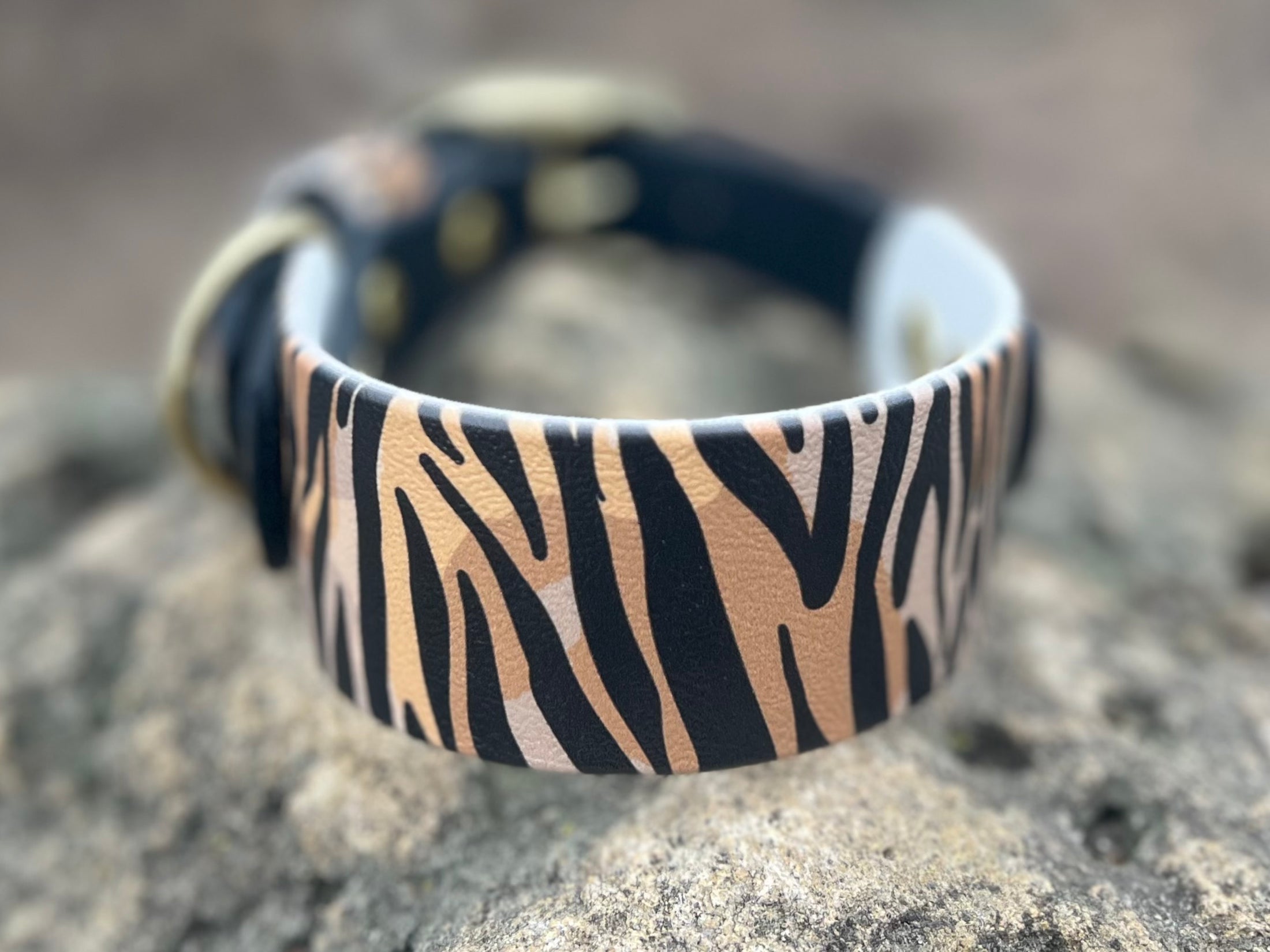 Sahara Stride Dog Collar
