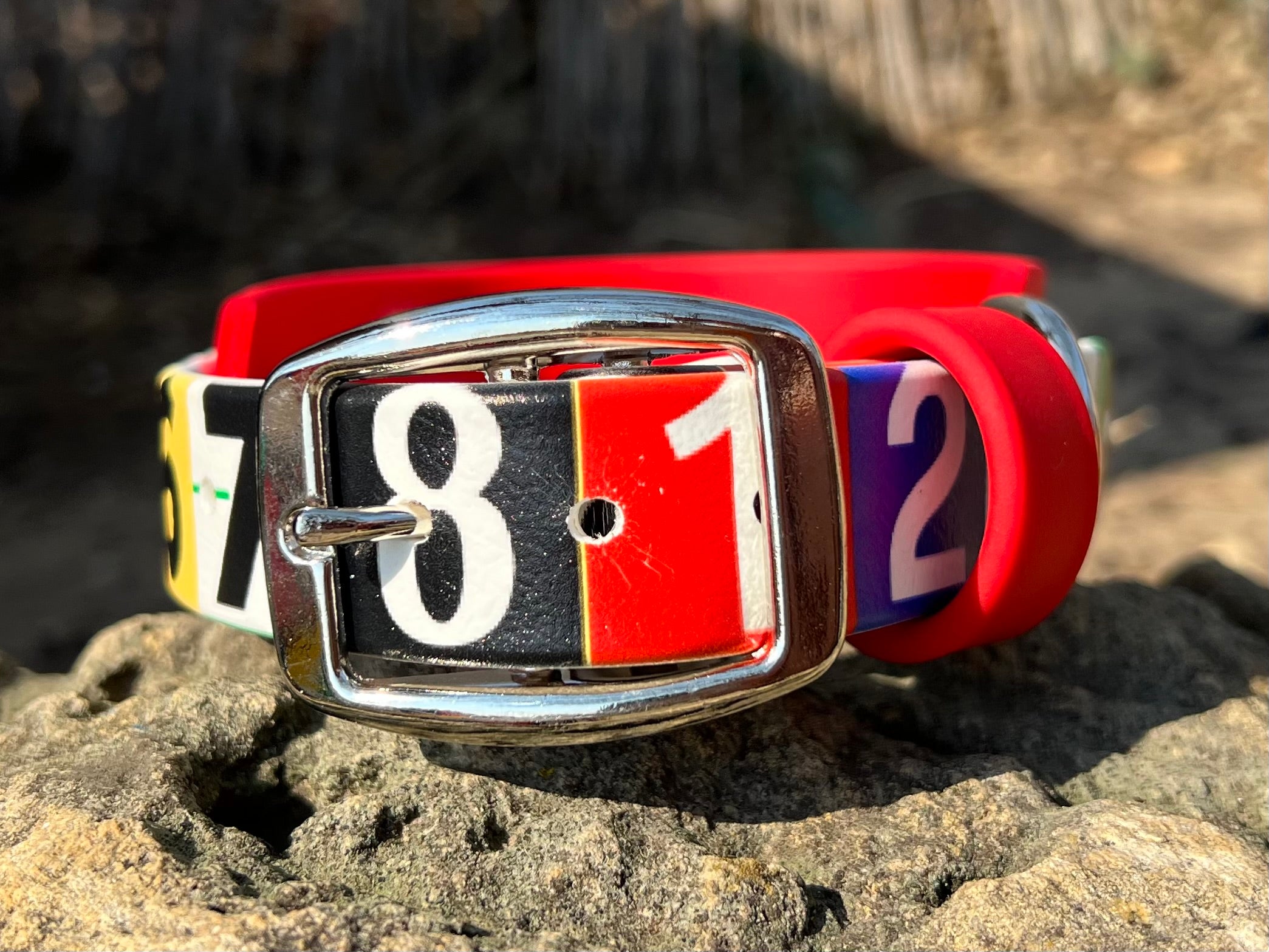 Race Ready Collars