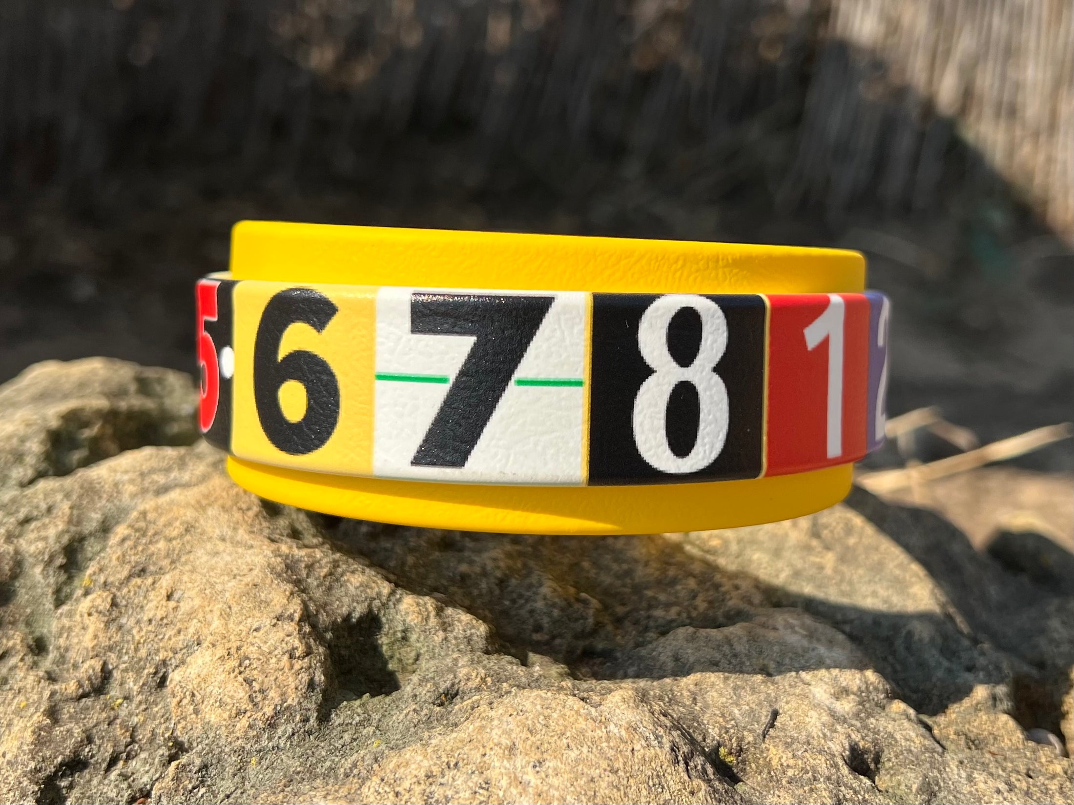 Race Ready Collars