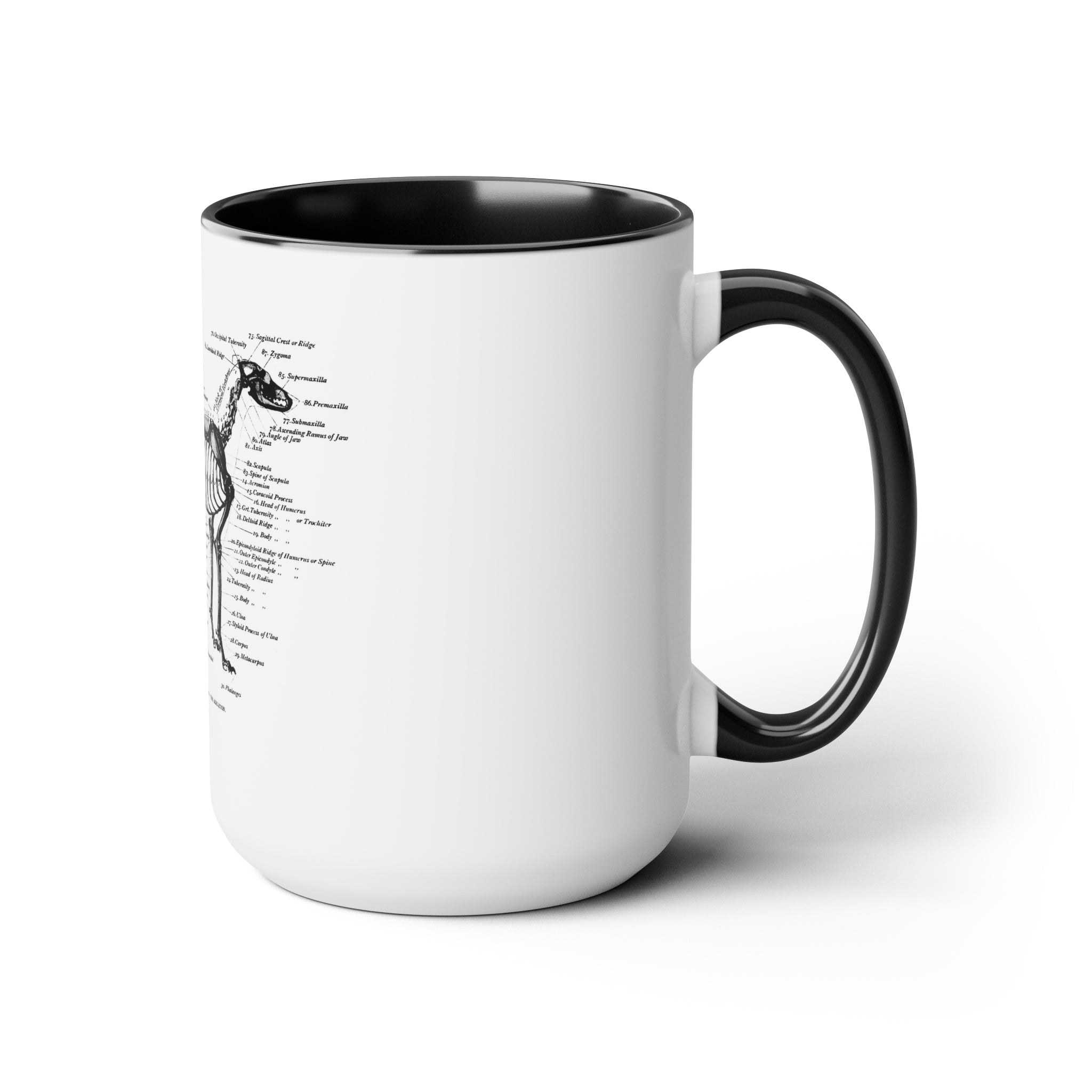 Greyhound Anatomy Coffee Mug, 15oz