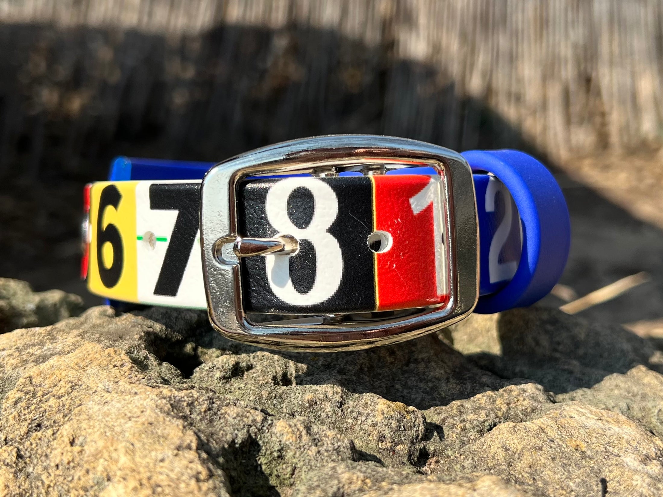 Race Ready Collars