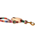 Load image into Gallery viewer, 6' Serape & Powder Tan Leash
