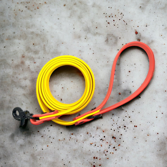 6' Biothane Leash Yellow & Coral