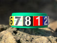 Load image into Gallery viewer, Race Ready Collars

