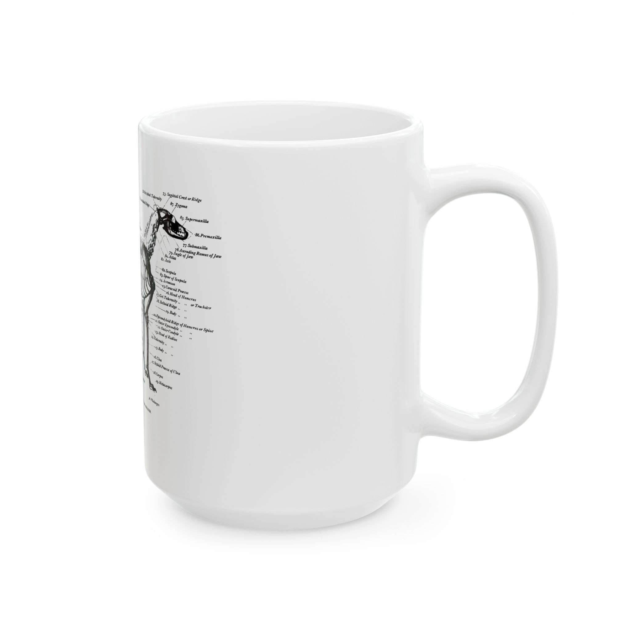 Greyhound Anatomy Ceramic Mug  15oz