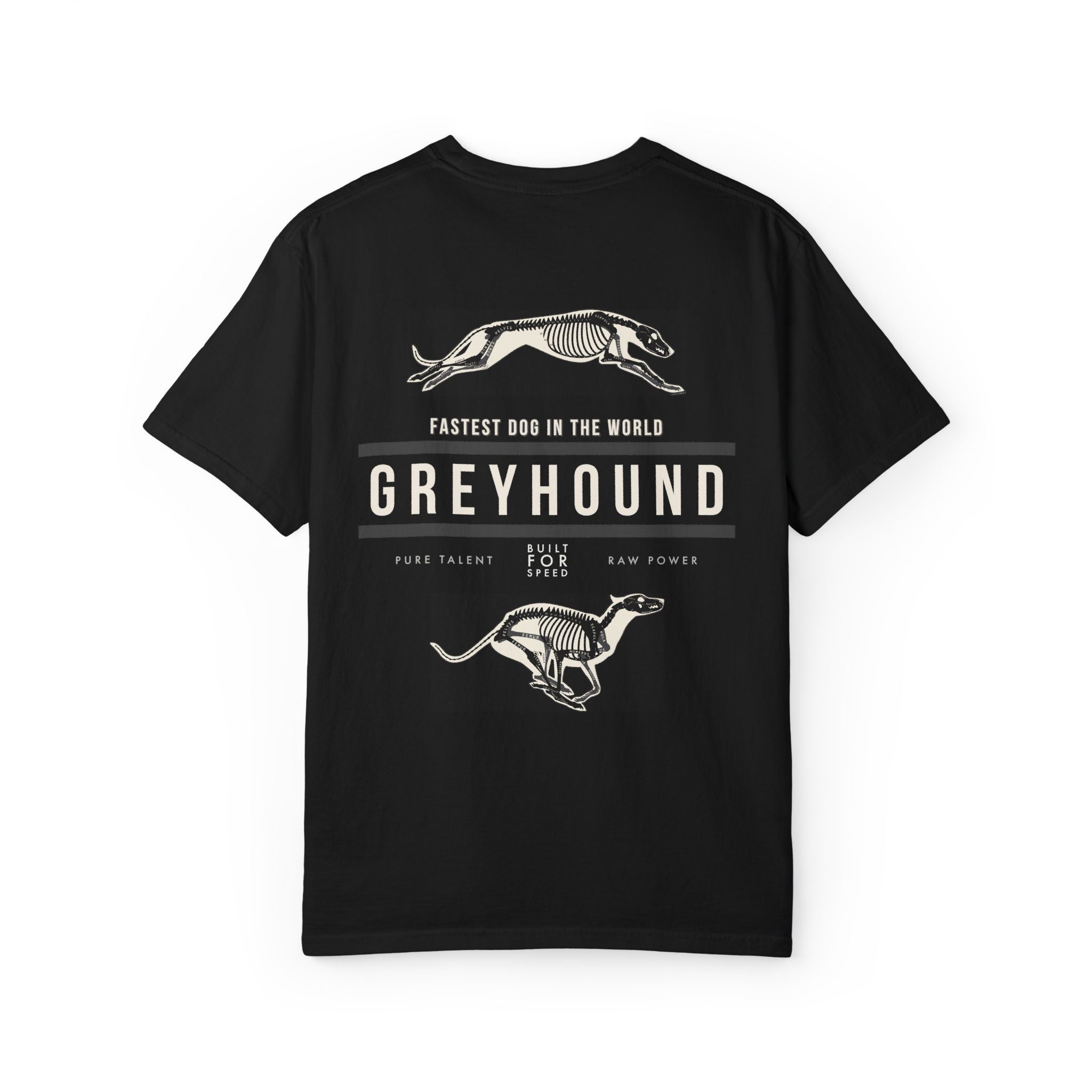 Greyhound Anatomy Tee