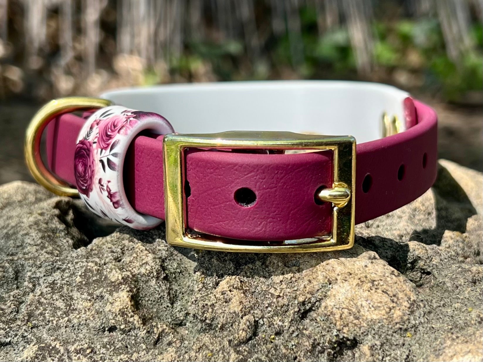 Cabernet Blossom Dog Collar