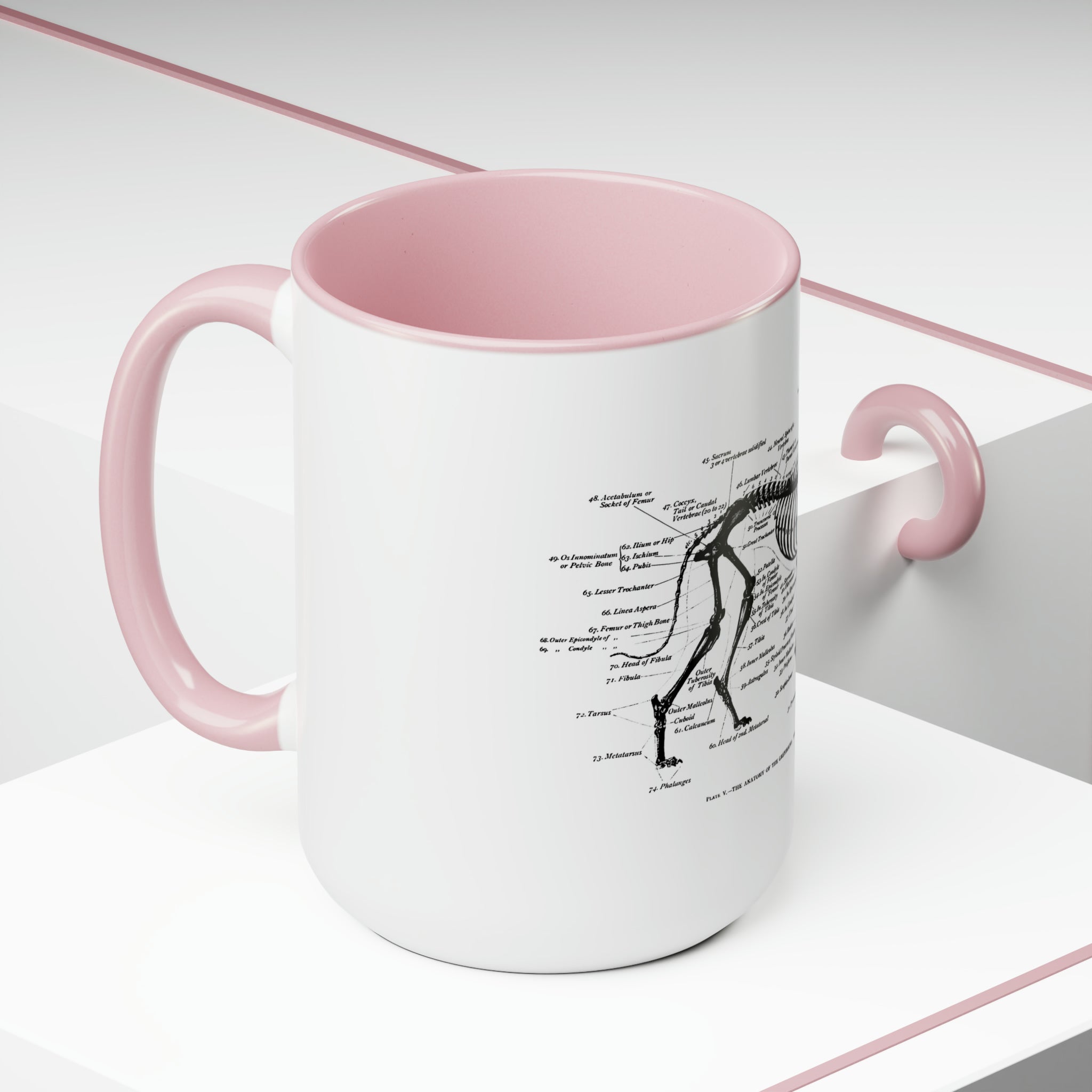 Greyhound Anatomy Coffee Mug, 15oz