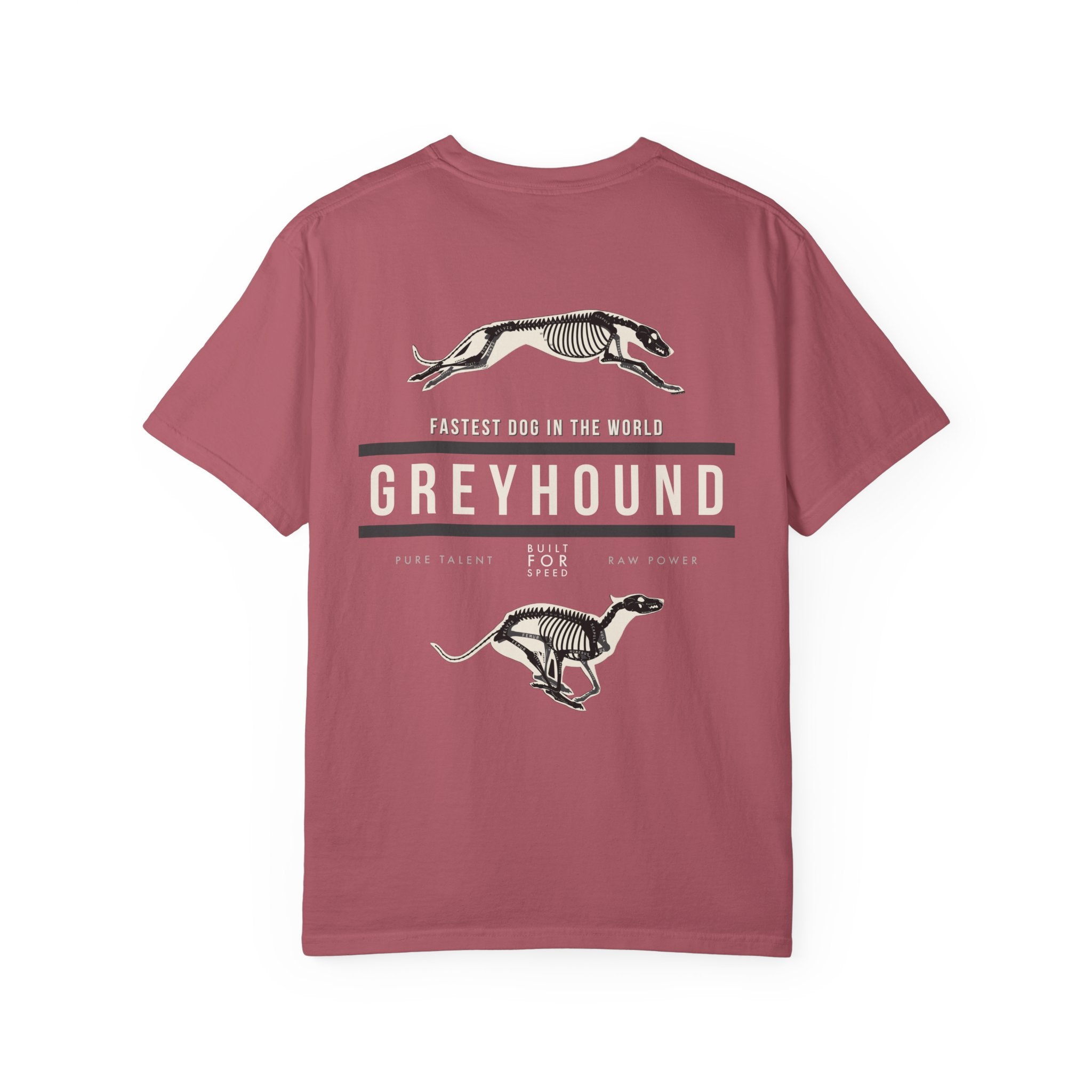 Greyhound Anatomy Tee