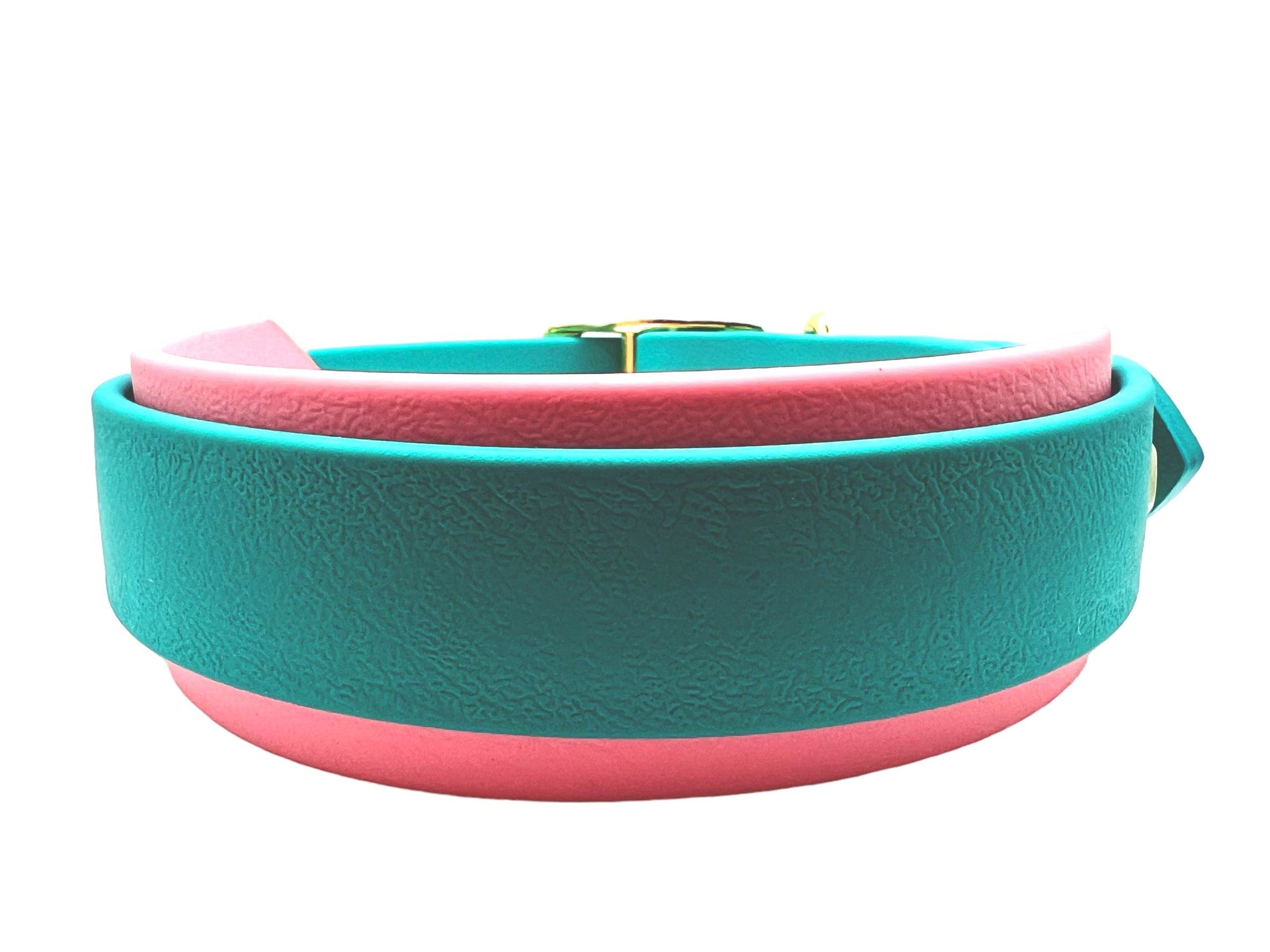 14-16 1/2" Turquoise & Pink Biothane Collar