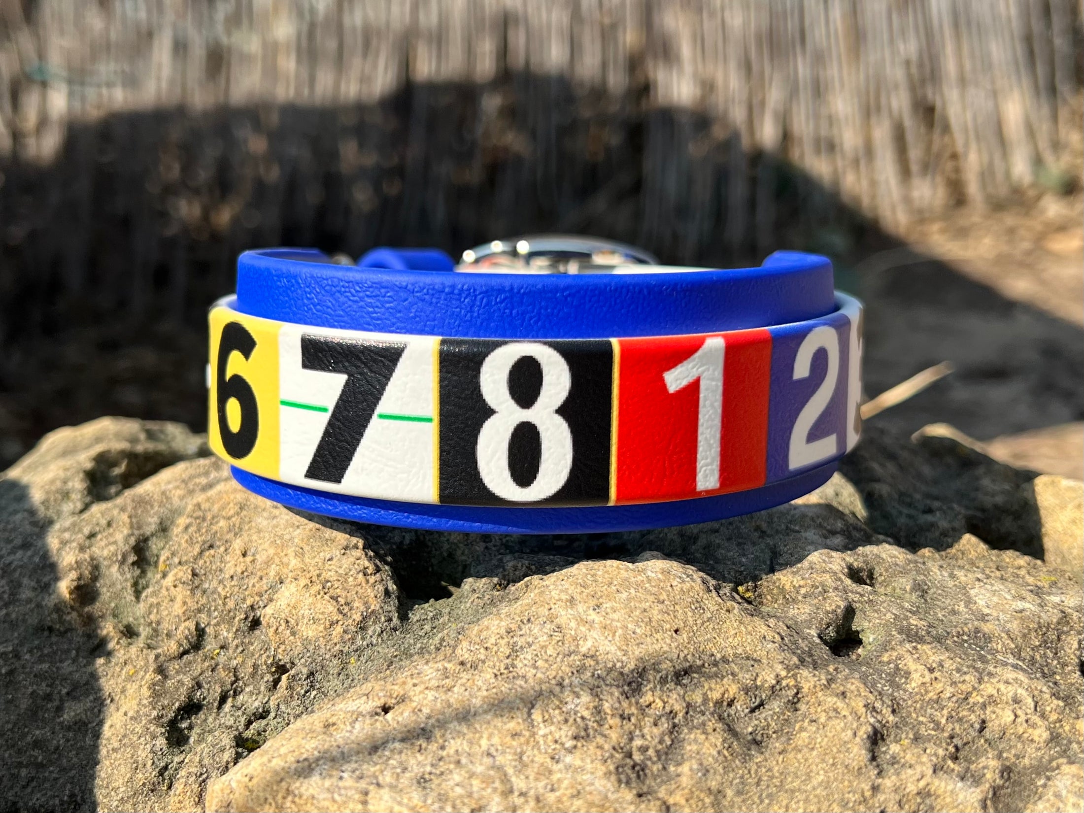 Race Ready Collars