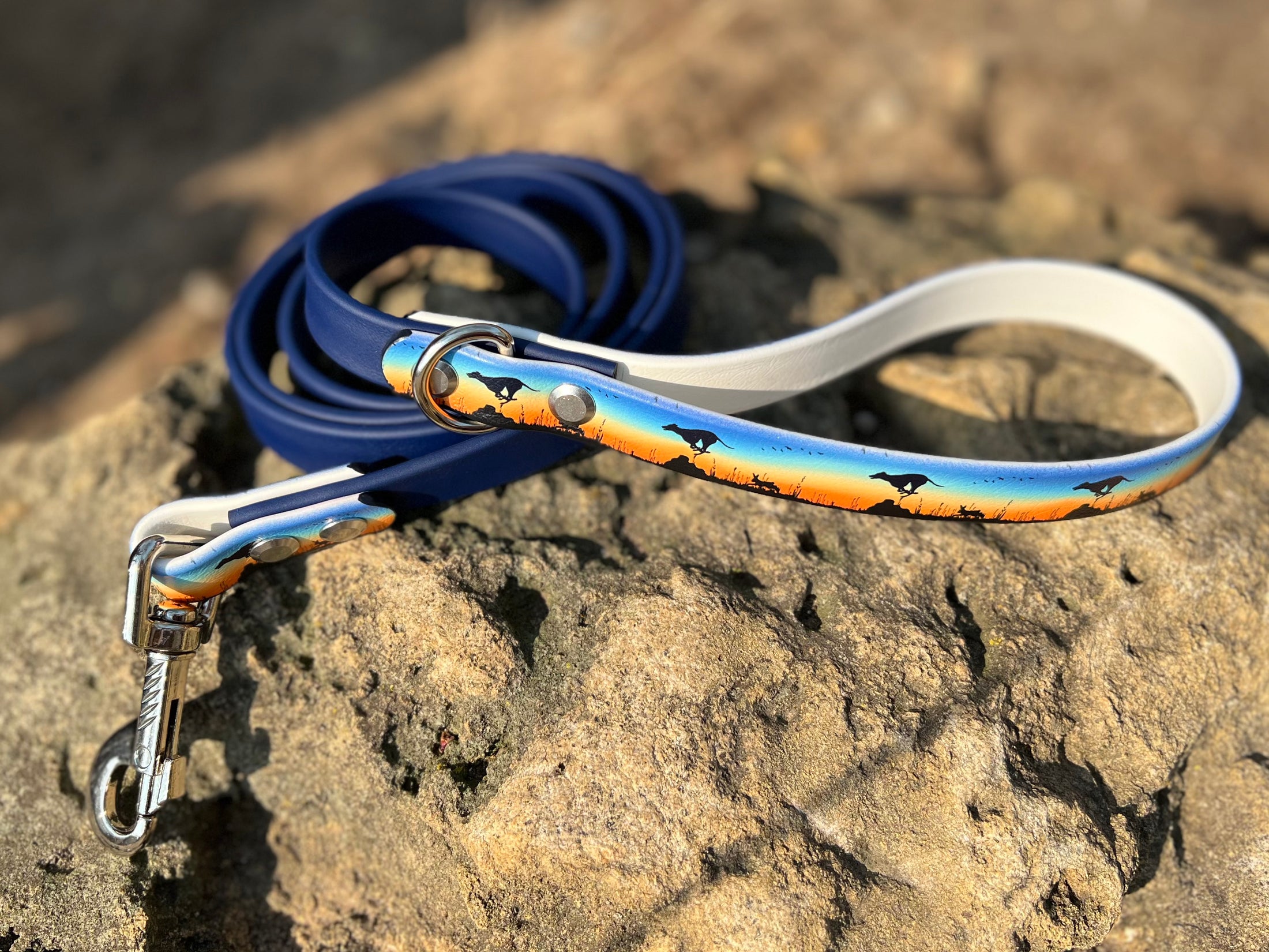 Prairie Pursuit Dog Leash