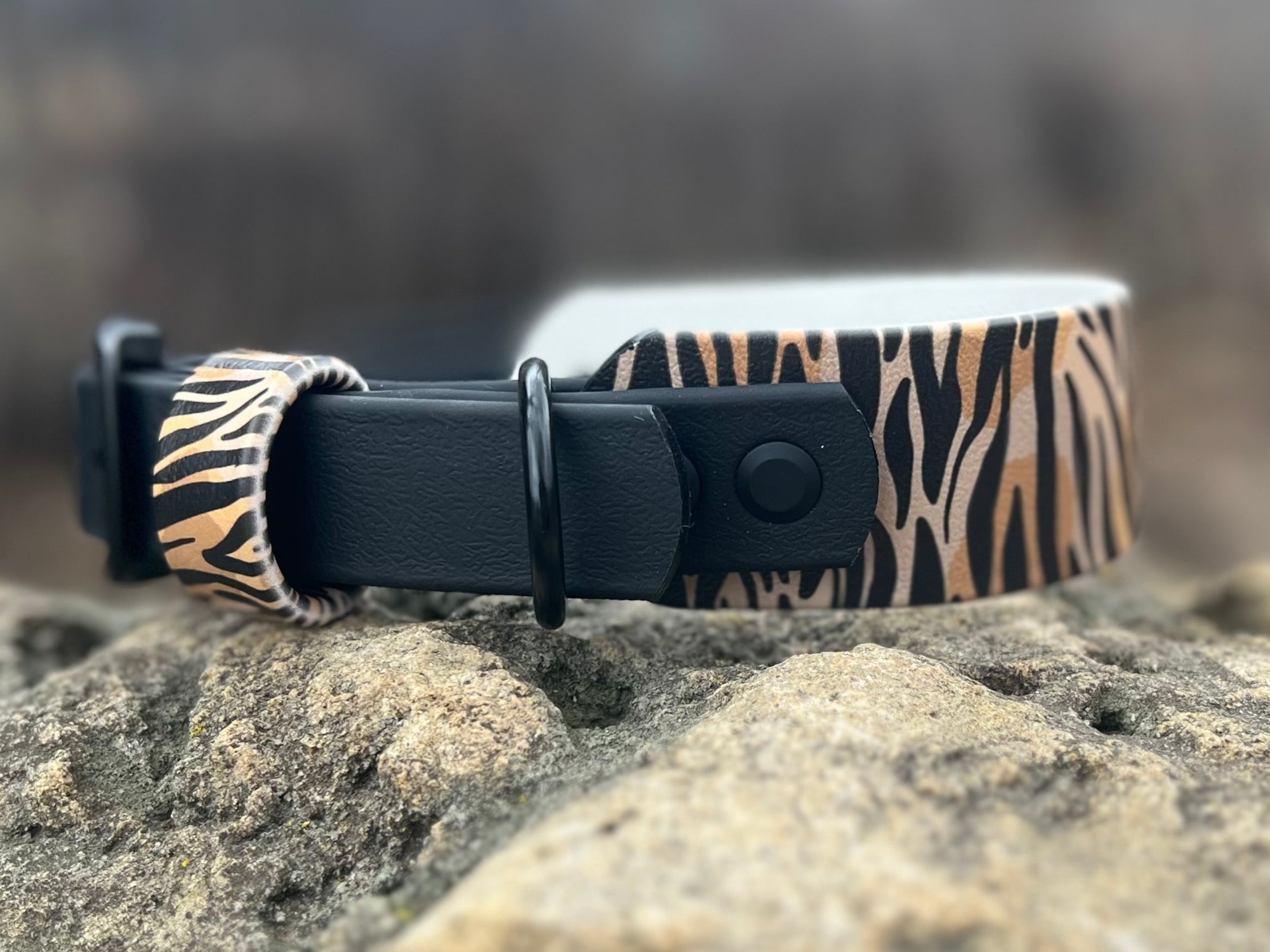 Sahara Stride Dog Collar