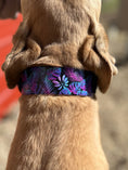 Load image into Gallery viewer, Wild Tropics Padded Biothane Collar
