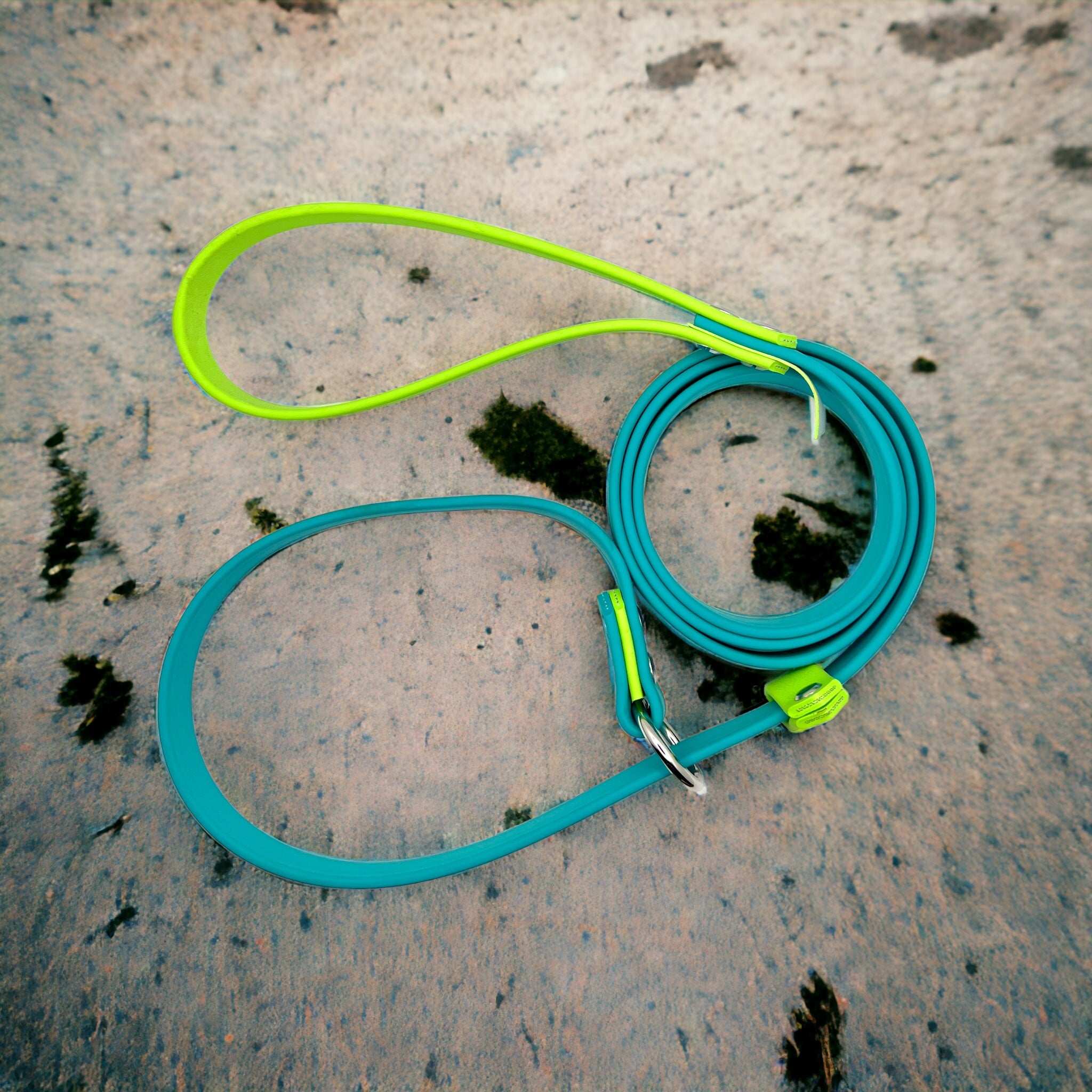 4' Biothane Slip Leash Turquoise & Apple Green