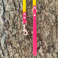 Load image into Gallery viewer, 6' Yellow & Hot Pink Leash
