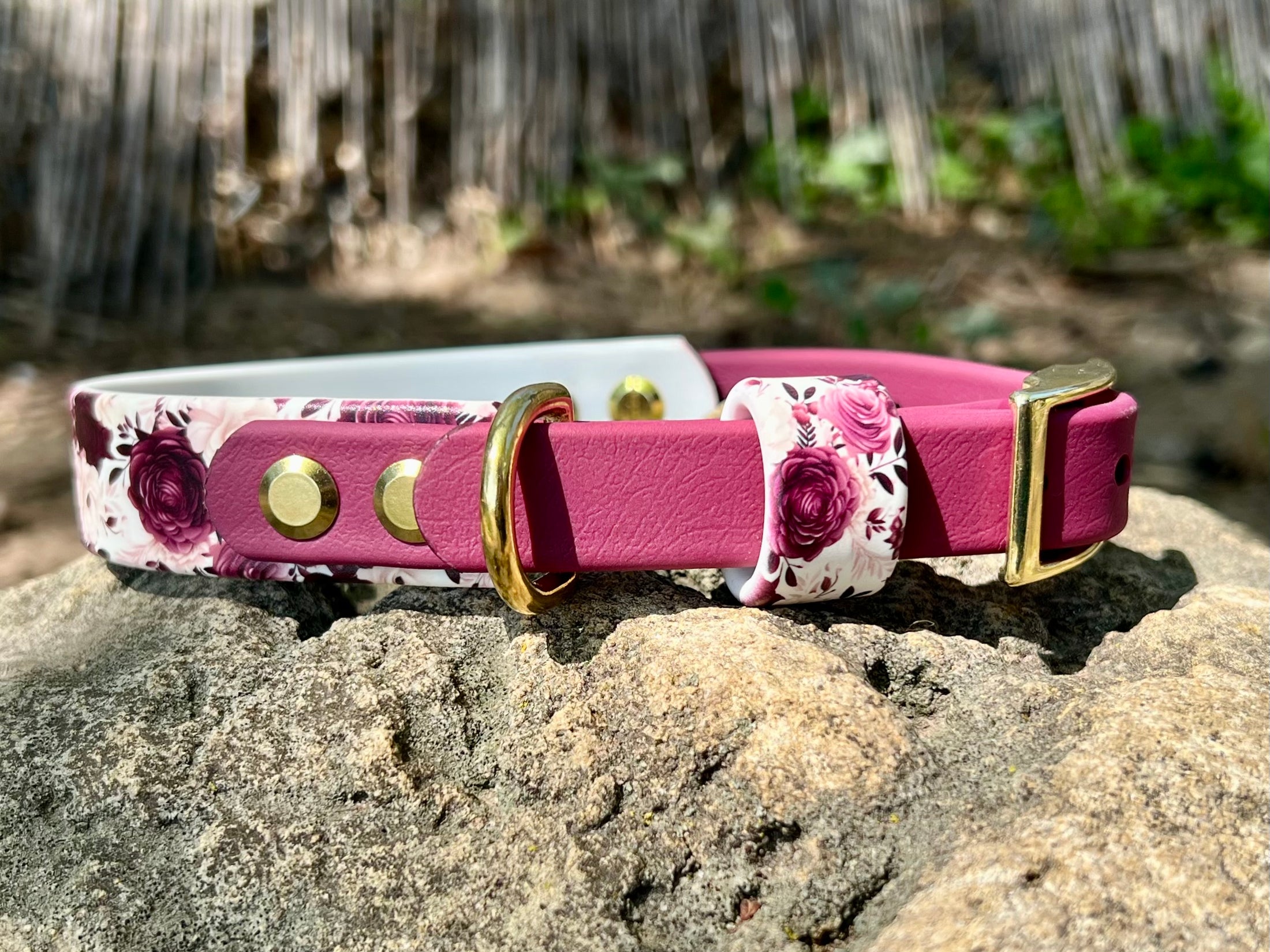 Cabernet Blossom Dog Collar