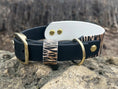 Load image into Gallery viewer, Sahara Stride Dog Collar
