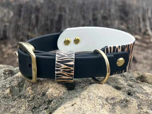 Sahara Stride Dog Collar