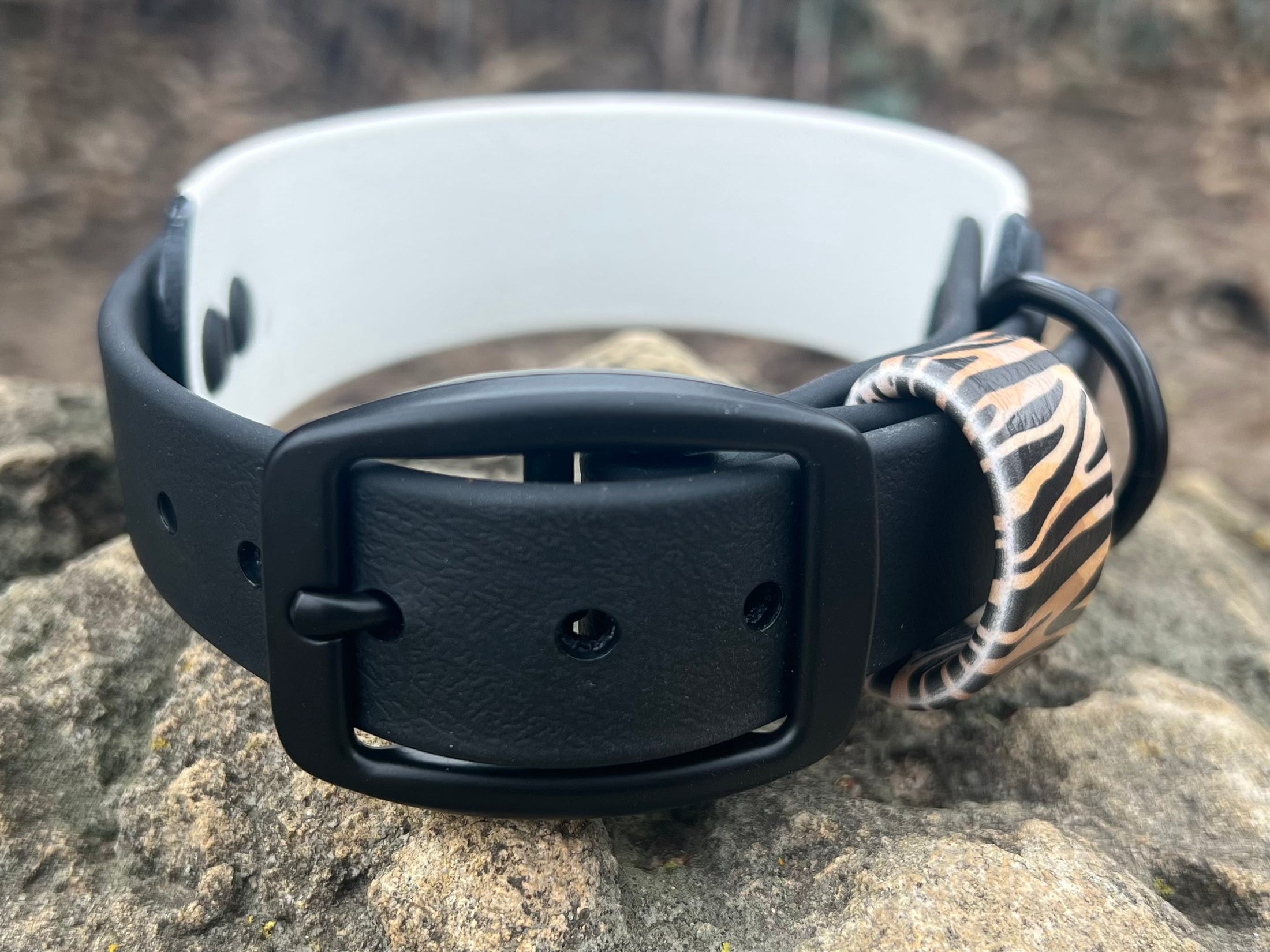 Sahara Stride Dog Collar