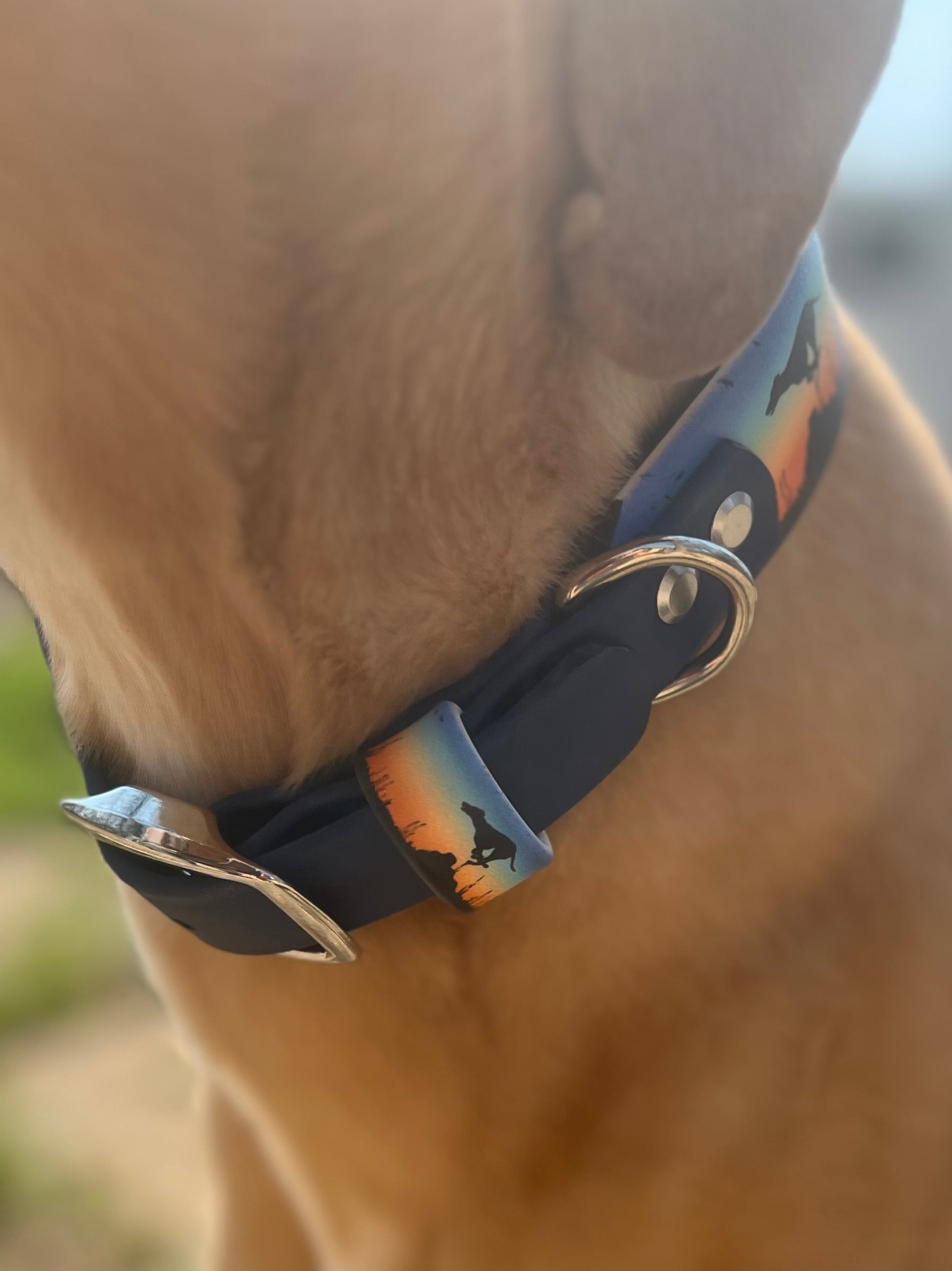 Prairie Pursuit Padded Dog Collar