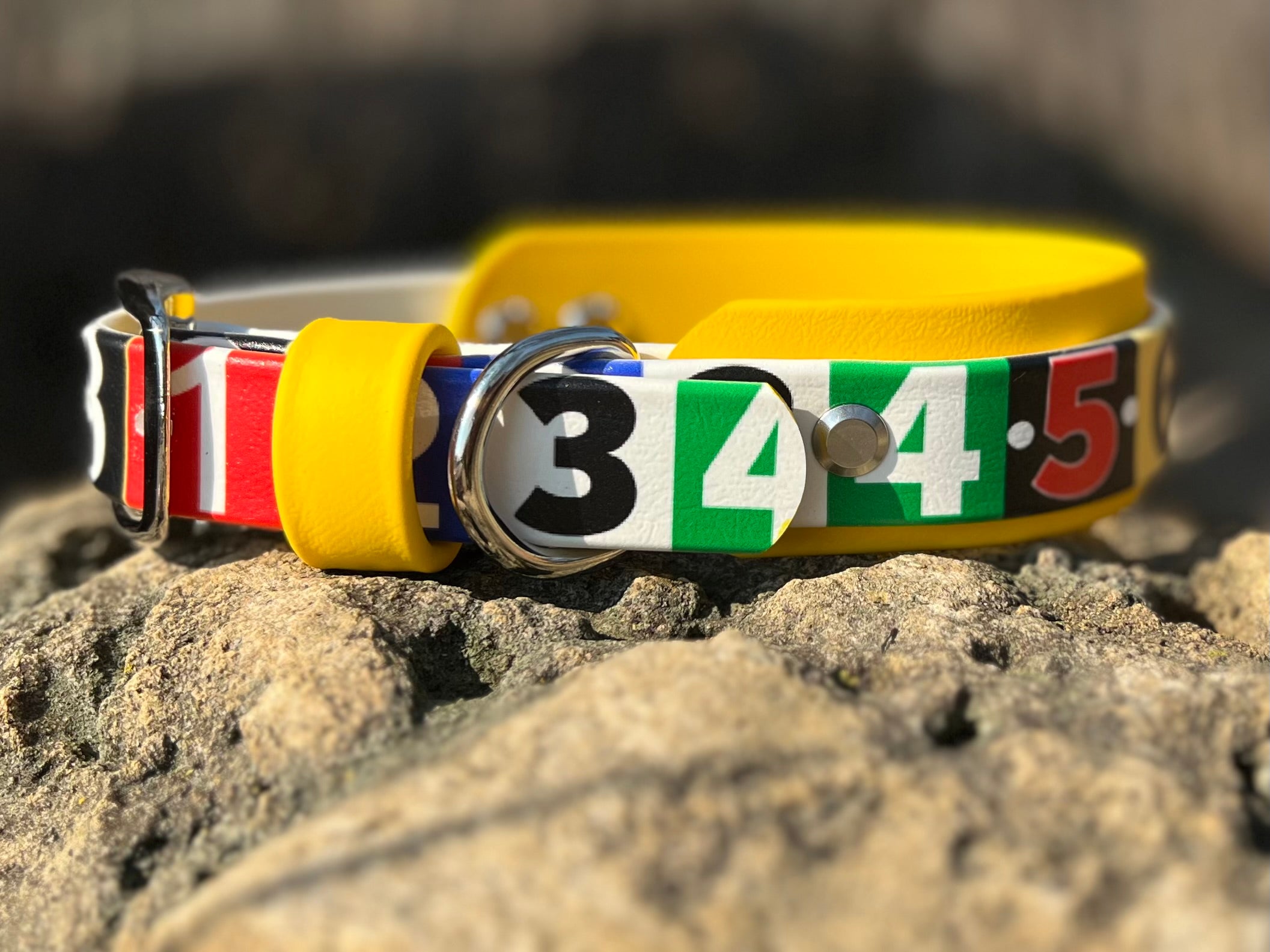 Race Ready Collars