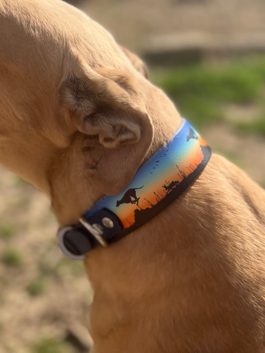 Prairie Pursuit Padded Dog Collar