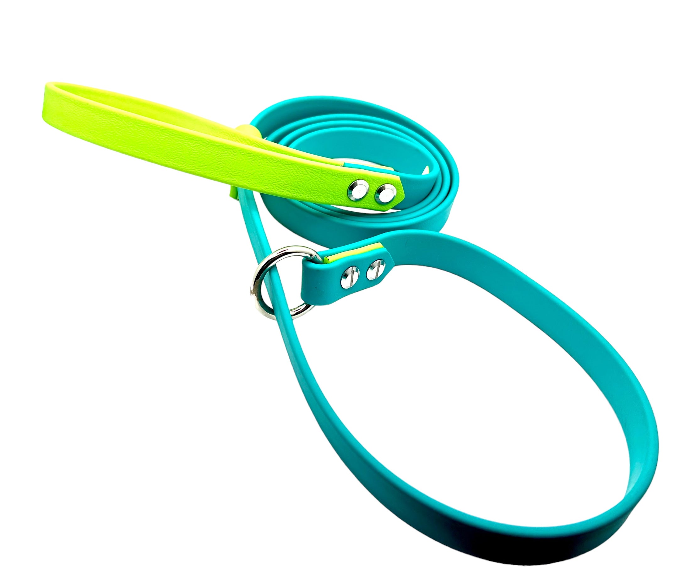 4' Biothane Slip Leash Turquoise & Apple Green