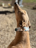 Load image into Gallery viewer, Atomic Breeze Dog Collar
