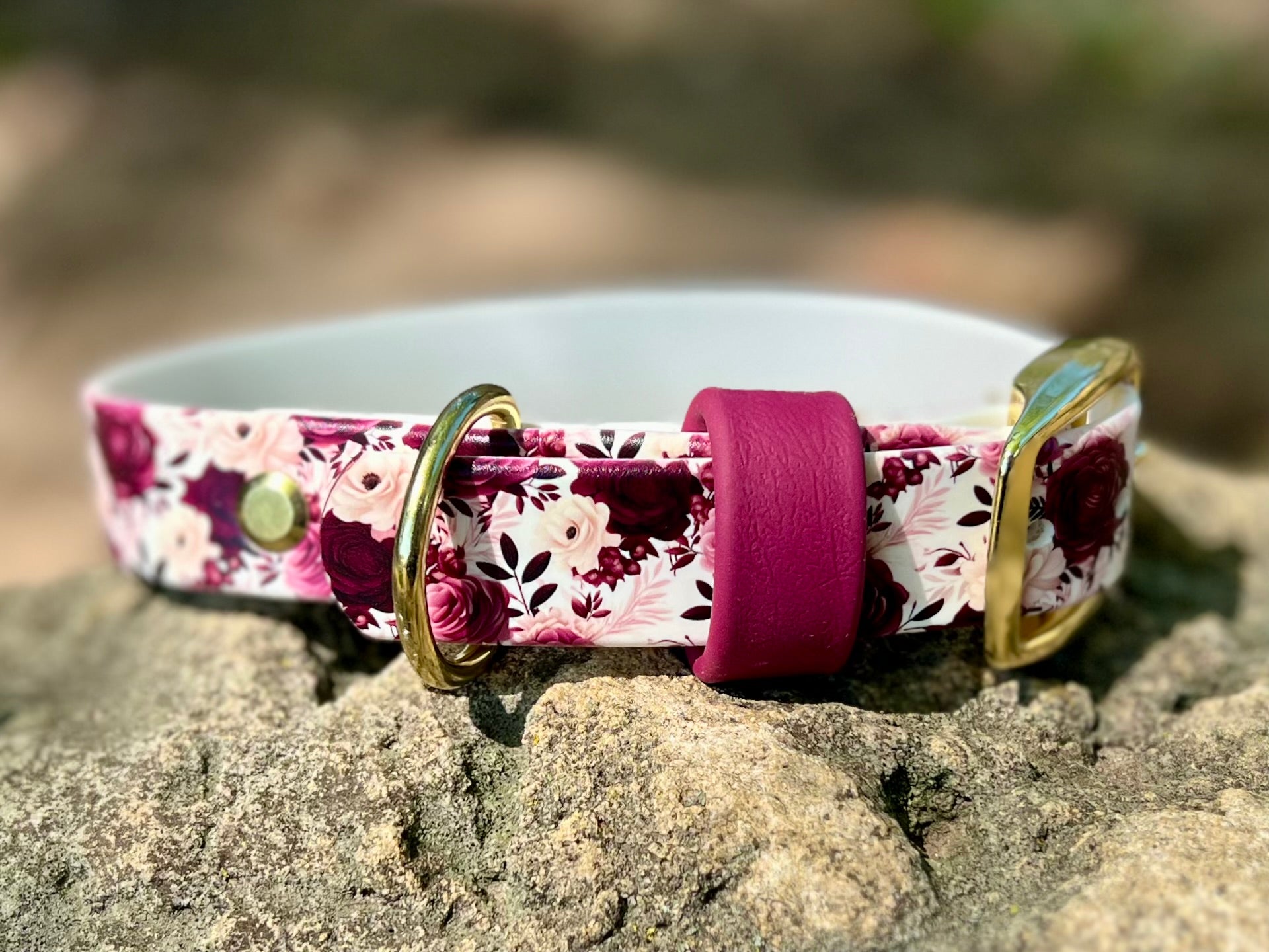 Cabernet Blossom Dog Collar