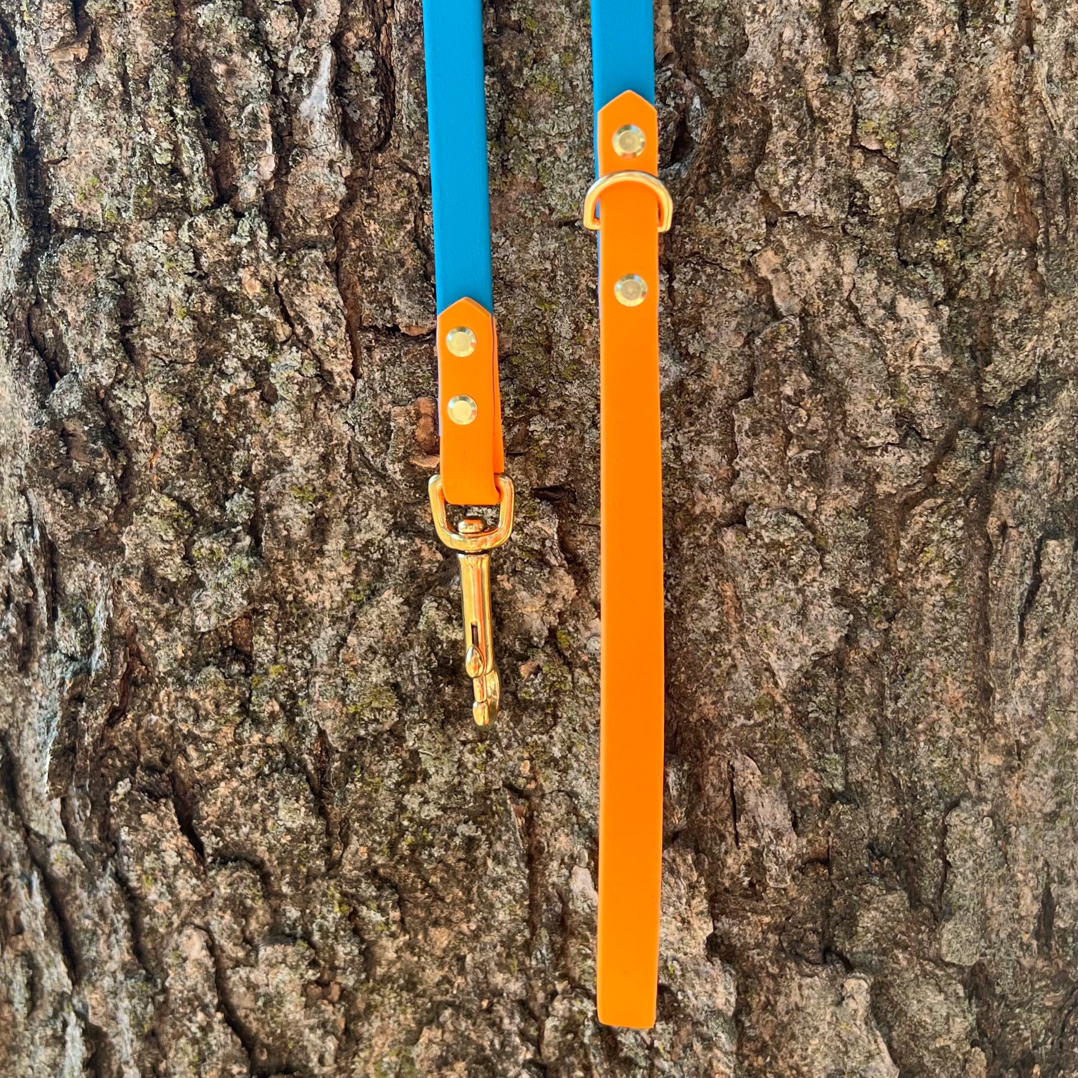 6' Turquoise & Peach Pink Leash