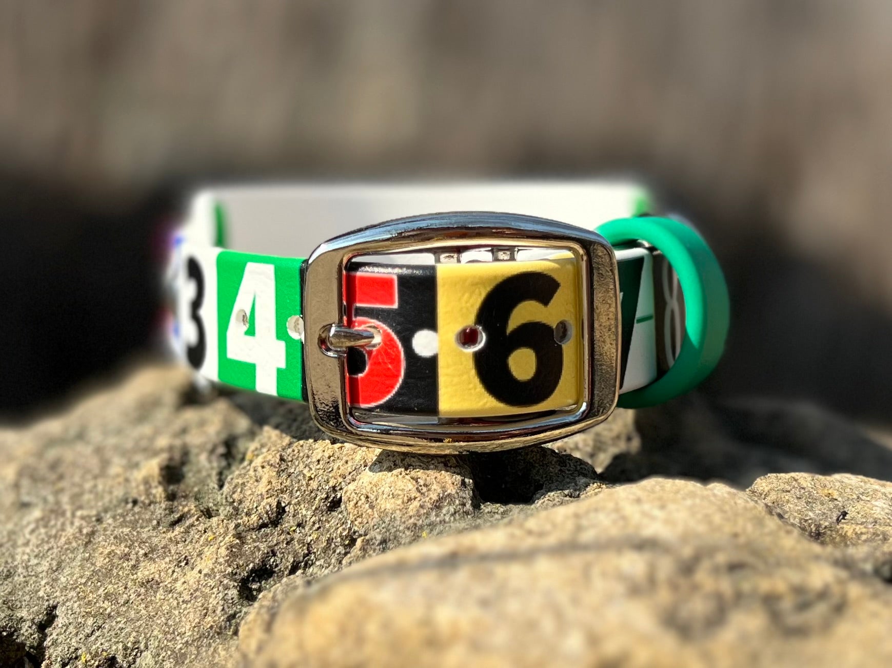 Race Ready Collars