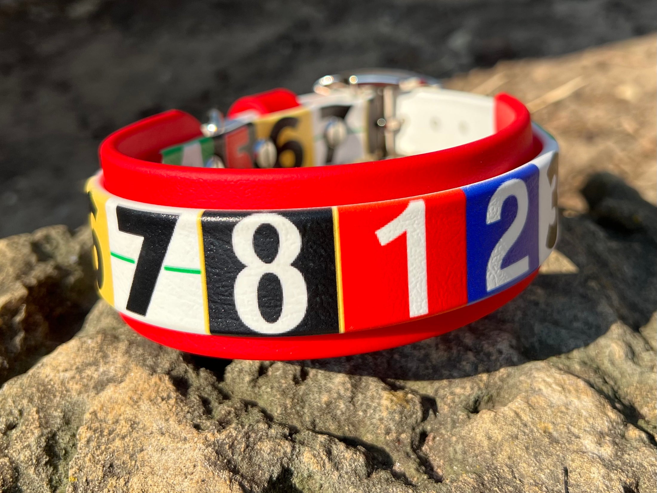 Race Ready Collars