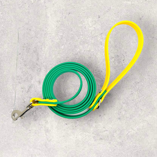 6' Biothane Leash Emerald & Yellow