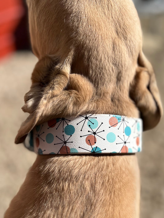 Atomic Breeze Dog Collar