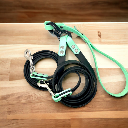 6' Biothane Split Leash