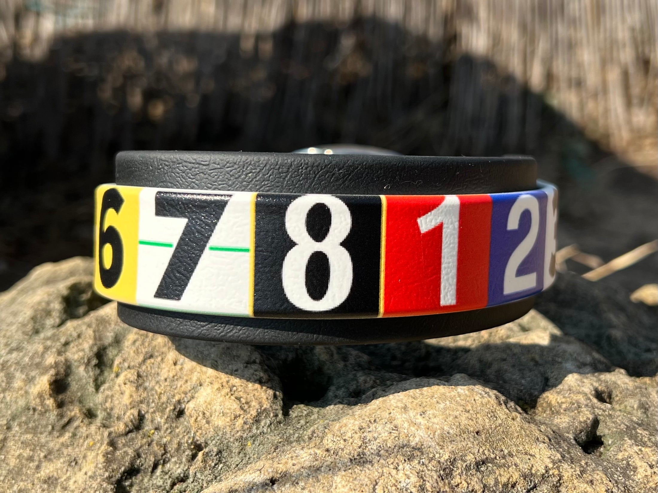 Race Ready Collars