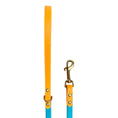 Load image into Gallery viewer, 6' Turquoise & Peach Pink Leash
