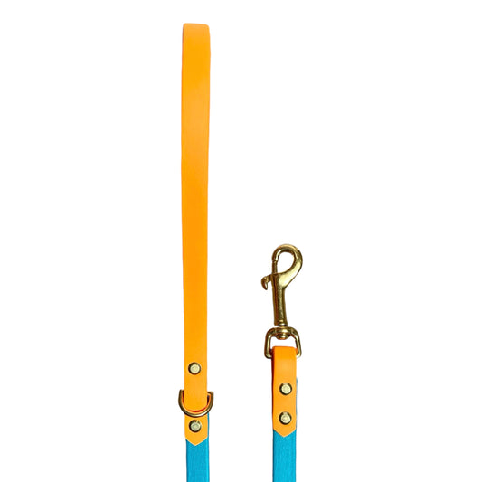 6' Turquoise & Peach Pink Leash