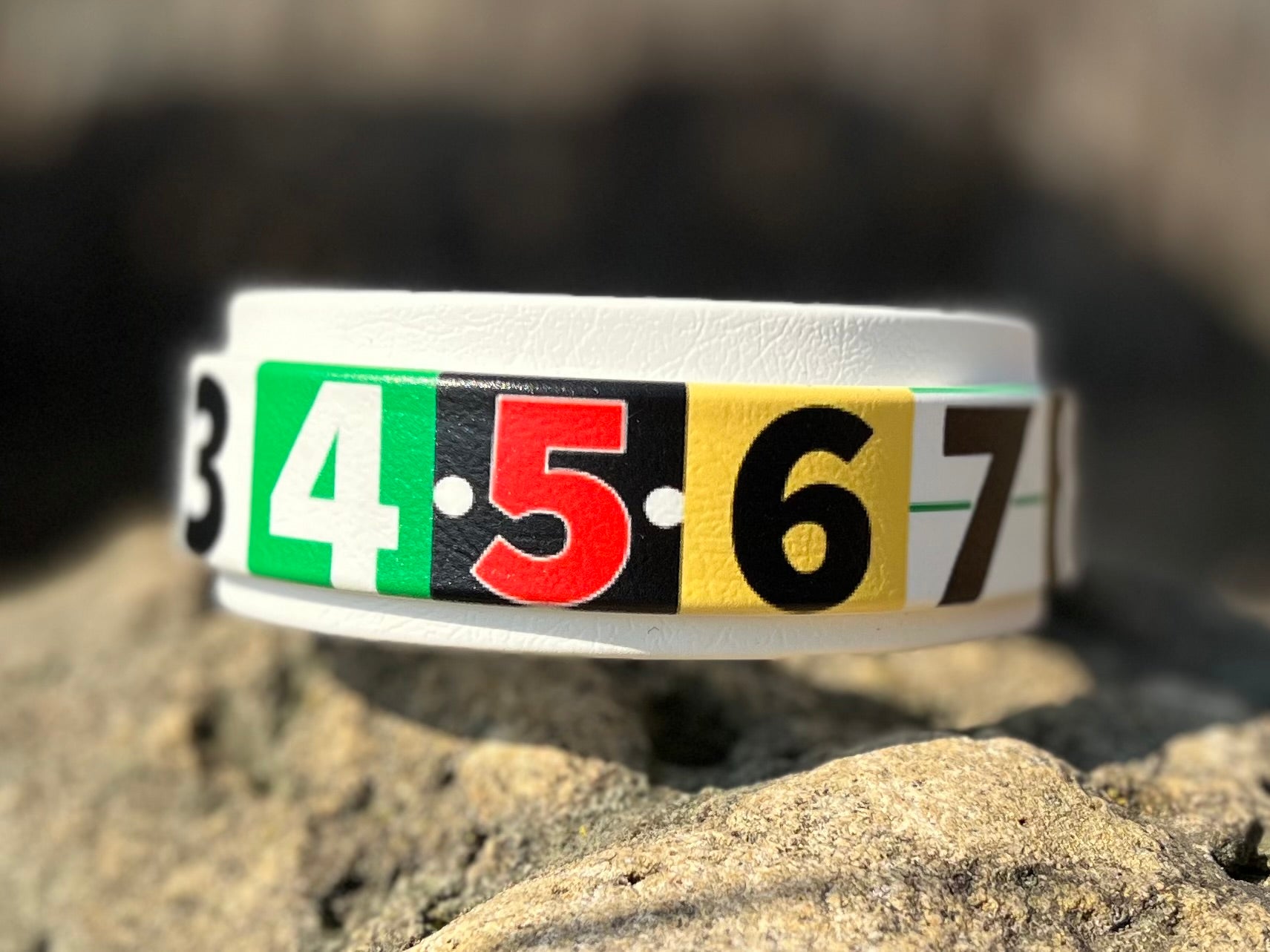 Race Ready Collars