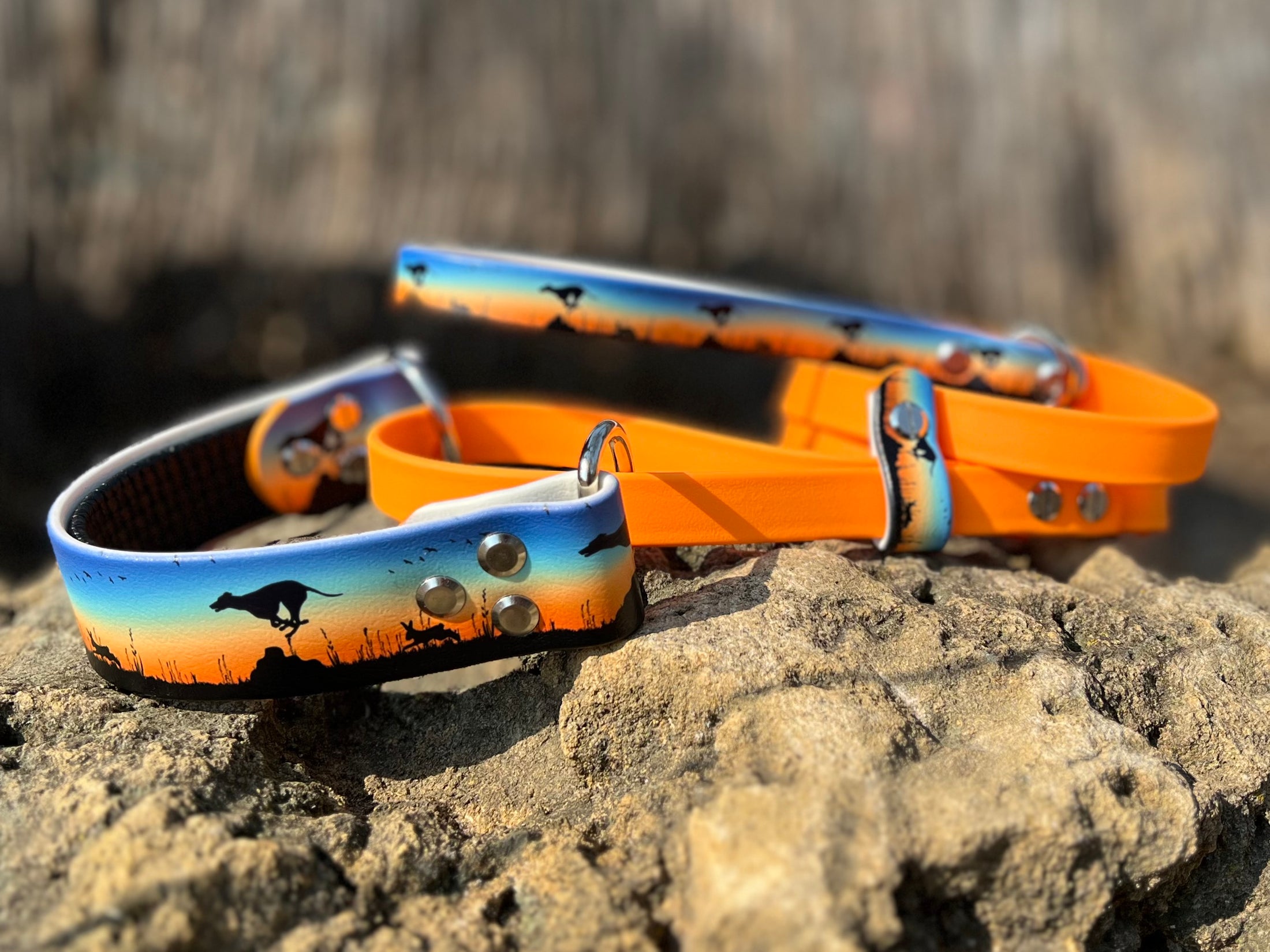 Prairie Pursuit Padded French Martingale Dog Collar