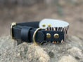 Load image into Gallery viewer, Sahara Stride Dog Collar
