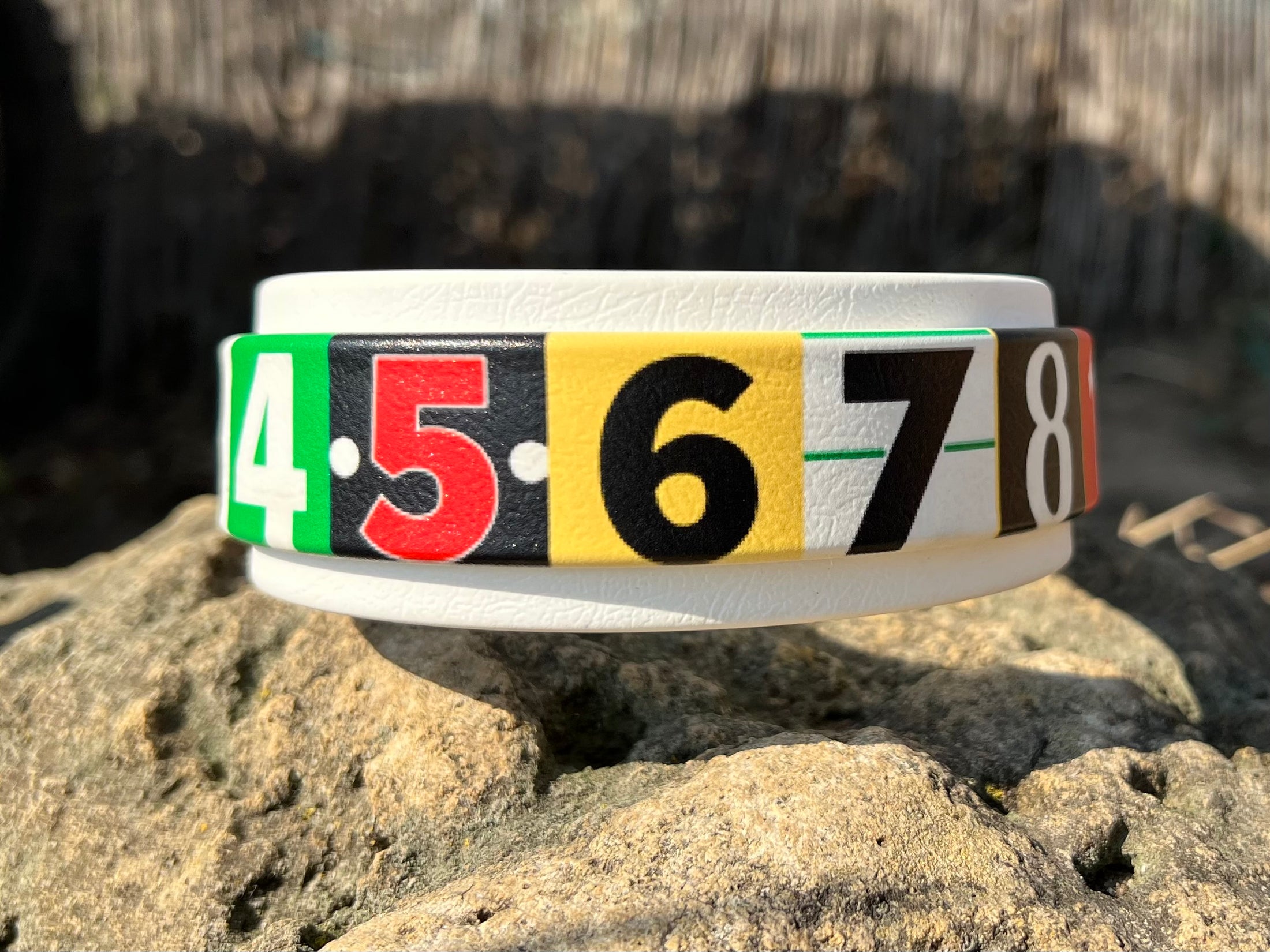 Race Ready Collars