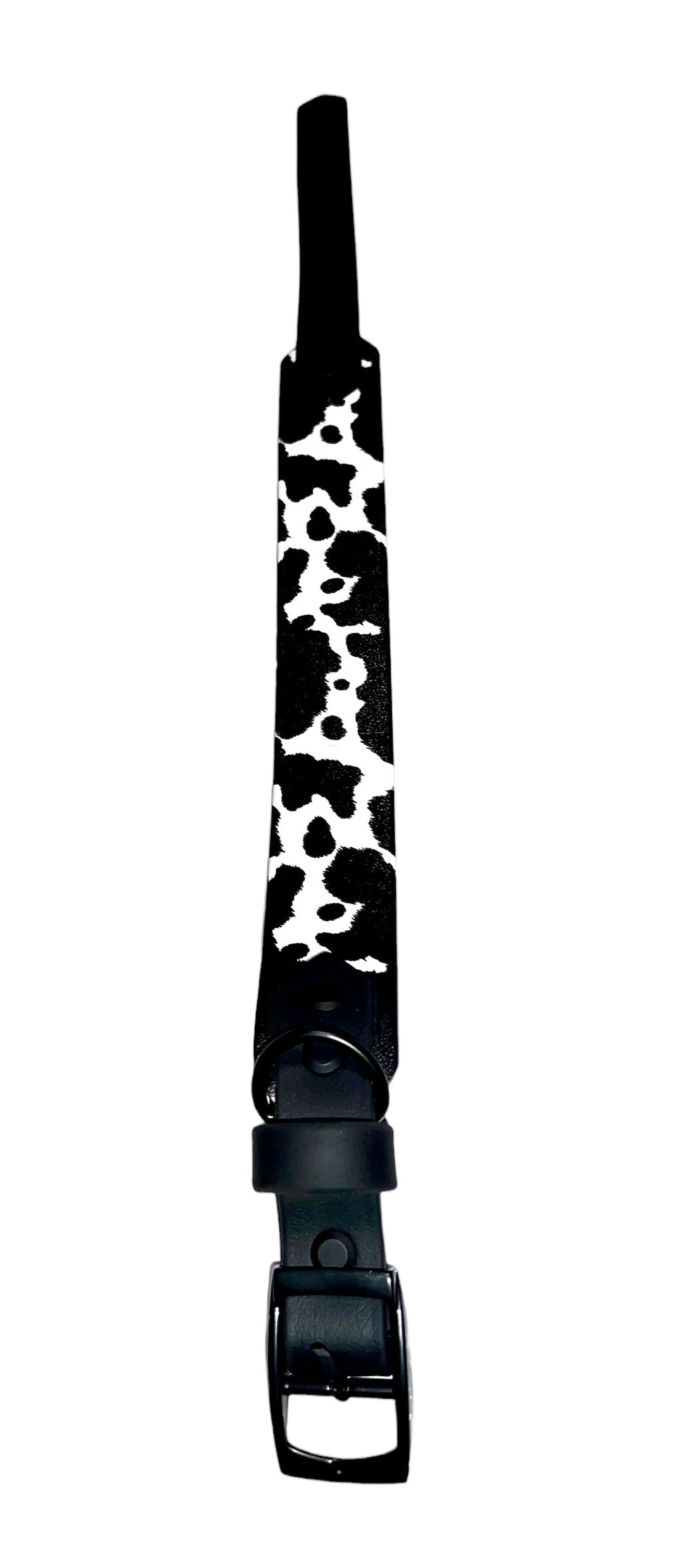 Midnight Moo Padded Collar