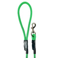 Load image into Gallery viewer, Clover Green 6' Leash
