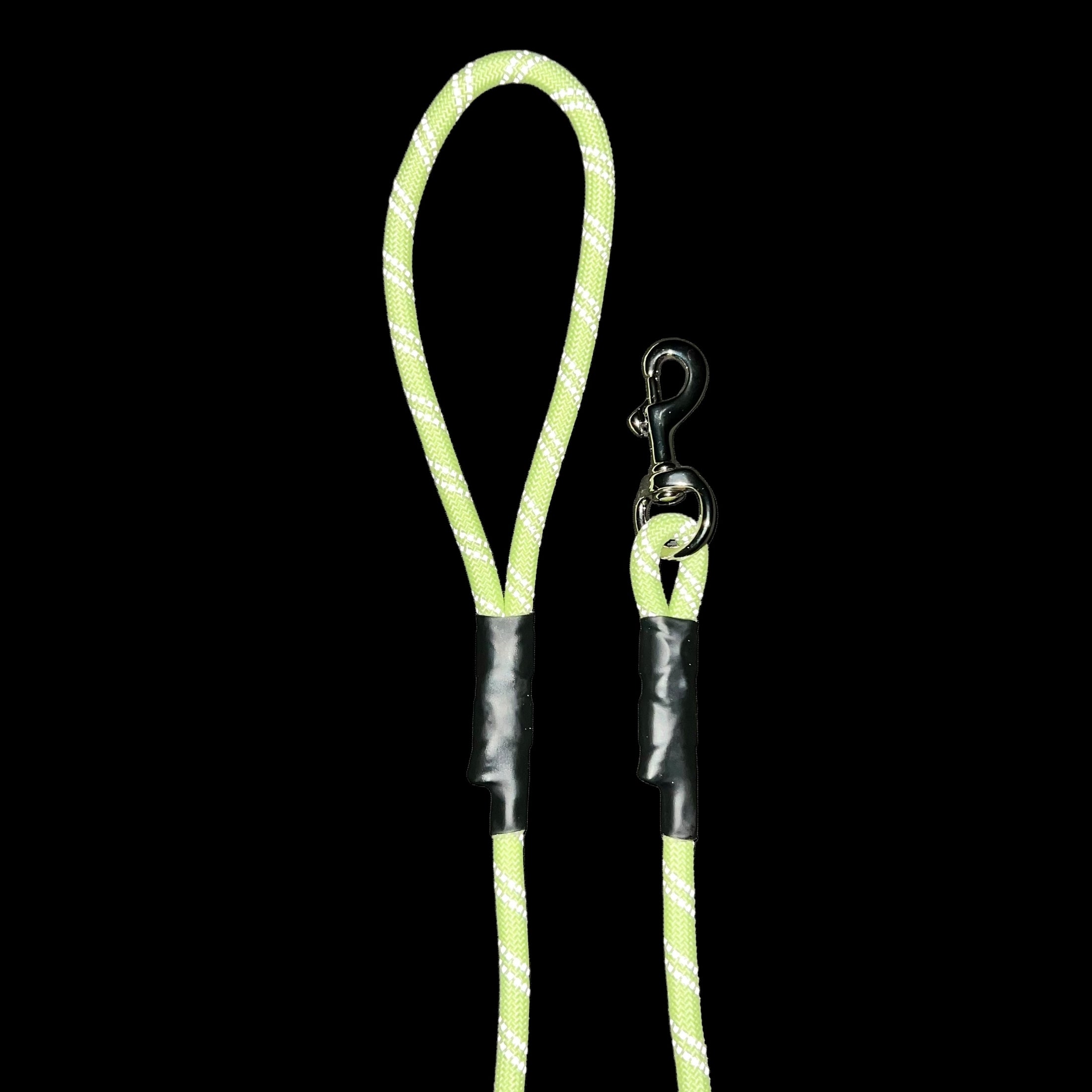 Glow & Reflect 6' Leash